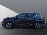 LEXUS UX 250h Style SHZ Kamera Alu