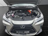 LEXUS NX 450h + Executive Panoramadach