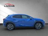 LEXUS UX 300h F-SPORT-D.*SOFORT *15JH-GARANTIE*