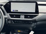 LEXUS UX 300h F-Sport E FOUR Schiebedach+360°+LEDER