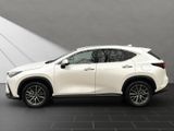 LEXUS NX 350h 350 h Interieur- & Technikpaket