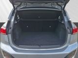 BMW 218 Active Tourer i M Sport PDC DAB SHZ Navi LED