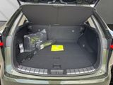 LEXUS NX 350h h 243 PS Executive Inter ieur Paket + Te