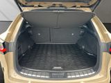 LEXUS NX 350h E-Four*Overtrail*Panoramadach 350H