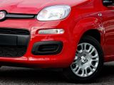 FIAT New Panda Pandina Pop