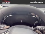 LEXUS NX 350h 350h Executive Line ieur Paket + Technol