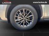 LEXUS NX 350h h 243 PS Executive Inter ieur Paket + Te