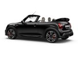 MINI John Cooper Works Cabrio +Navi+DAB+RFK+Leder+PDC