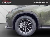 LEXUS NX 350 h 243 PS Executive Inter ieur Paket + Tec