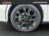 LEXUS RX 450 F-SPORT *PANO*360`KAM.*Voll*15J.Garantie
