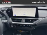 LEXUS UX 300h F-Sport Navi LED ACC Apple CarPlay