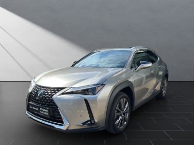 LEXUS UX 250h*EXECUTIVE*PREM* SCHIEBED.*15J-GARANTIE