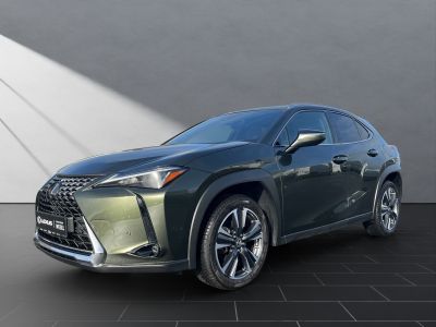 LEXUS UX 250 h*LED*TOP* KAMERA*NAVI*FACELIFT