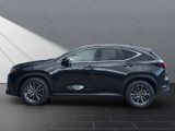 LEXUS NX 450h Executive Panorama Int+Technologie Paket