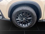 LEXUS NX 350h E-Four Overtrail*PANORAMA*MARKLEVINSON*