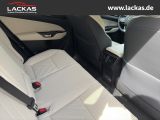 LEXUS NX 350h h 243 PS ** 15 Jahre Gar antie ** Sitzkl