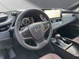LEXUS ES 300 300h Business Line