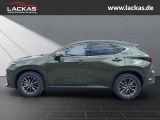 LEXUS NX 350 h 243 PS Executive Inter ieur Paket + Tec