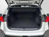 BMW X1 20iA M-Sport adap.LED AHK Komfortzugang