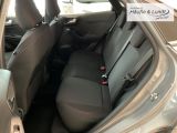 FORD Puma ST-Line LED 360 Kamera Allwetterreifen