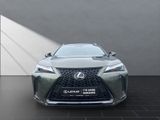 LEXUS UX 250h*FSPORT-D*1HD*ALLW.R*LEDER* 15J-GARANTIE*