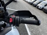 TRIUMPH Tiger 900 Alpine Edition Akrapovic-Lager