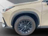 LEXUS NX 350h Overtrail 4x4 Panorama Dach 350h Overtra