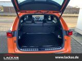 LEXUS NX 300 h E-Four F-Sport*CARPLAY *LEDER*LED*HUD*
