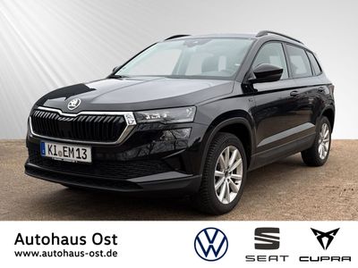 SKODA Karoq Klima Einparkhilfe Sitzheizung