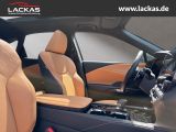LEXUS RX 450 F Sport Design Panoramaglasdach