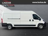 FIAT Ducato Serie 2 35 L3H2 Kastenw Ducato Ducato L3H