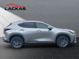 LEXUS NX 450h + Business 4x4+SITZBELÜF.+SHZ hinten+360