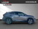 LEXUS NX 300 h Luxury 4x4 Panorama
