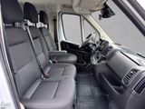 TOYOTA Proace Max Doka Pritsche Work L4 3,5T