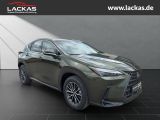 LEXUS NX 350 h 243 PS Executive Inter ieur Paket + Tec