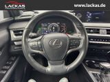 LEXUS UX 250h STYLE EDITION*LED*KAM* CARPLAY*GARANTIE