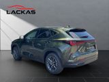 LEXUS NX 450h + Executive HEAD-UP+MEMORY+PANO