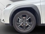 LEXUS UX 250h *lenkH*sitzH*Kamera*