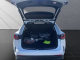 LEXUS NX 450h Executive Panorama