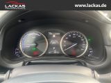 LEXUS NX 300 h Luxury 4x4 Panorama