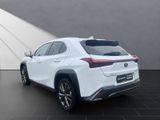 LEXUS UX 250h*FSPORT-D.*1.HD*ALLW.REIF** 15J-GARANTIE*