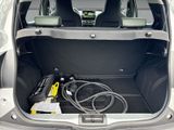 DACIA Spring Electric Extreme 100 +CCS+ NP 22.490,-