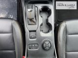 FORD Ranger Wildtrak X 205PS -Standheizung-Elekt. Laderaumrollo-