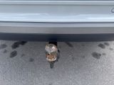 SEAT Ateca FR Line AHK Allwetter