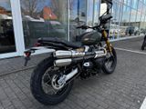 TRIUMPH Scrambler 900 MY26 Sofort Verfügbar!