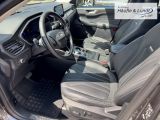 FORD Kuga Plug-In Hybrid Vignale HUD Navi Leder Digitales Cockpit Memory Sitze Soundsystem