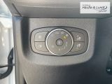 FORD Transit Courier Trend Elektro 136PS -Holzboden-
