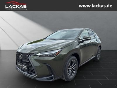 LEXUS NX 350h h 243 PS Executive Inter ieur+Techno P.