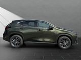 LEXUS NX 450h + Executive Technik& Interieur Paket,Pan