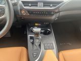LEXUS UX 250h*FSPORT-D*1HD*ALLW.R*LEDER* 15J-GARANTIE*